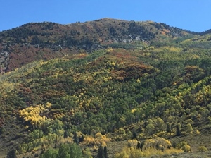 Sportsmen Welcome Move to Conserve Colorado’s Thompson Divide