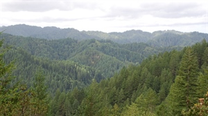 BHA Urges Innovation to Keep Elliott State Forest Publicly Accessible