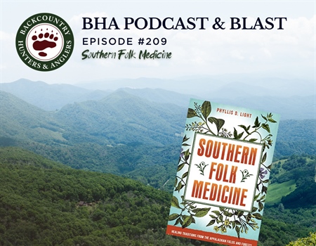 Southern Folk Medicine with Phyllis Light