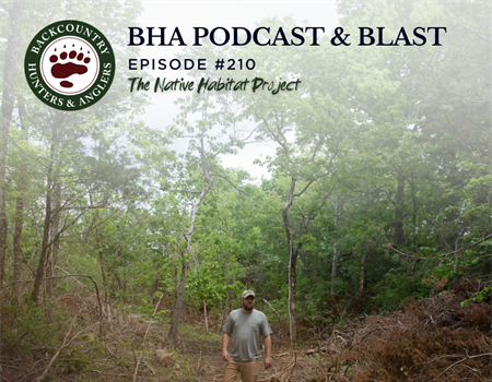 The Native Habitat Project with Kyle Lybarger