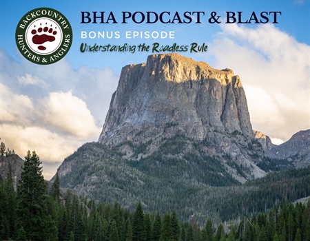 Understanding the Roadless Rule. Take Action Today!