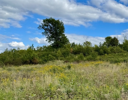 Wisconsin’s Knowles-Nelson Stewardship Program is Under Fire