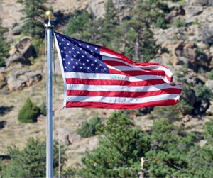 Federal Policy Roundup: November 2025