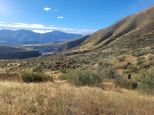 Boise River WMA Fence Mapping 10/4/25