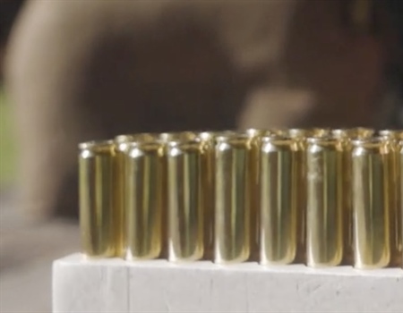 Lead‑Free Ammunition in New York
