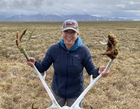Alaska BHA Hosts Dr. Heather Johnson at Double Shovel Cider Co. to Talk About Arctic Caribou