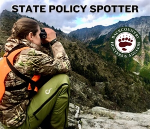 State Policy Spotter: Nov. '25