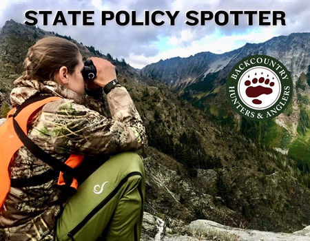 State Policy Spotter - November 2025