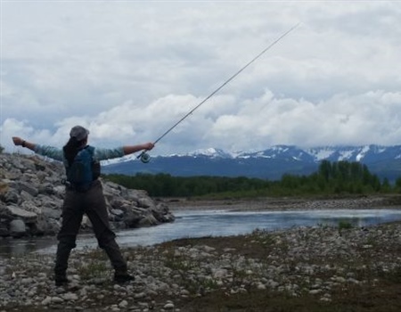 Idaho BHA Responds to Congressman Fulcher's Call for State Transfer