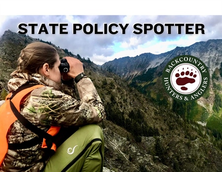 State Policy Spotter: Dec. '25