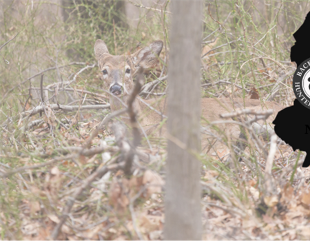 New Jersey Chapter Statement on Sunday Hunting