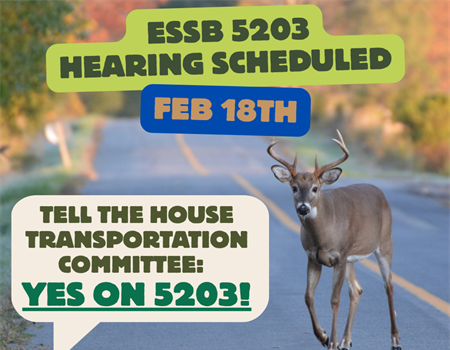 ESSB 5203 is up for a hearing in the House Transportation Committee on February 18.