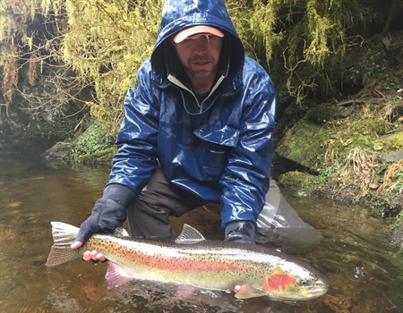 Right Here and Over There