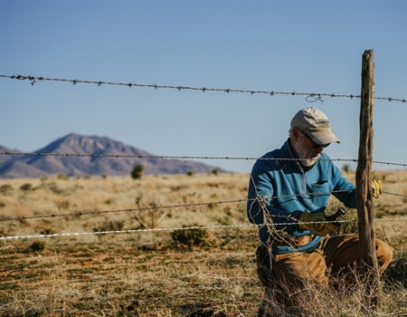 Stewarding Human and Wildlife Connectivity