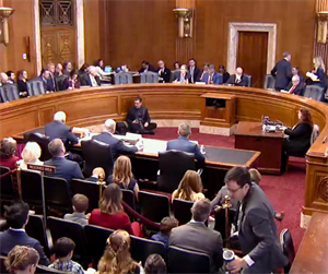 Senate Committee Advances BLM Director Nomination; Full Senate Vote Next