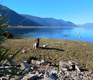 2026 Economic Assessment on Proposals to Transfer Ownership of Federal Lands to the State of Idaho