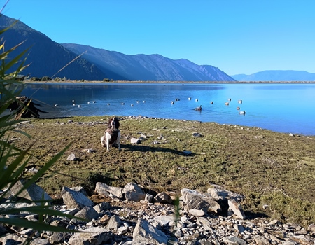 2026 Economic Assessment on Proposals to Transfer Ownership of Federal Lands to the State of Idaho