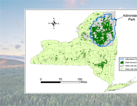 Deer Management Permits in the Adirondacks of NY are Legislated by Law, not Regulated by NYSDEC