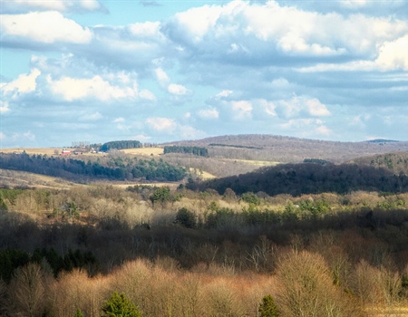 New York Chapter Opposes S4408 on State Reforestation Lands