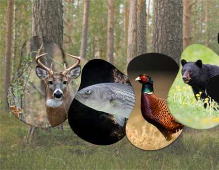 New Jersey Bill A2005/S471 Would Reshape Fish and Game Council Representation