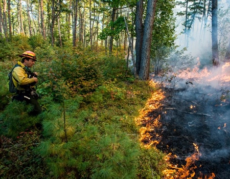 The Land Doesn't Lie