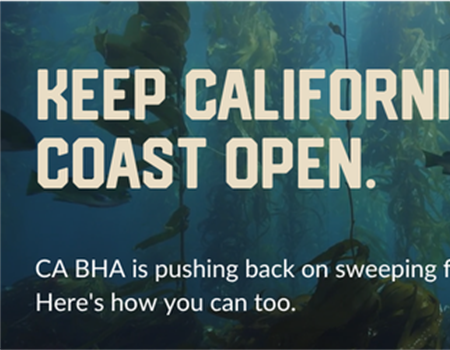 CA BHA MPA Petitions Recommendations