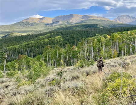 Federal Policy Roundup May 2026