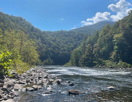 Tennessee BHA Chapter Summer 2026 Newsletter