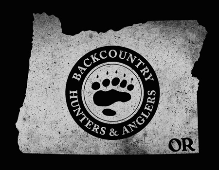 Oregon Initiative Petition 28: What It Is and Where It Stands