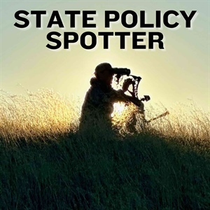 State Policy Spotter: August '26