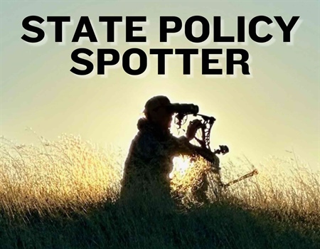 State Policy Spotter: August '26