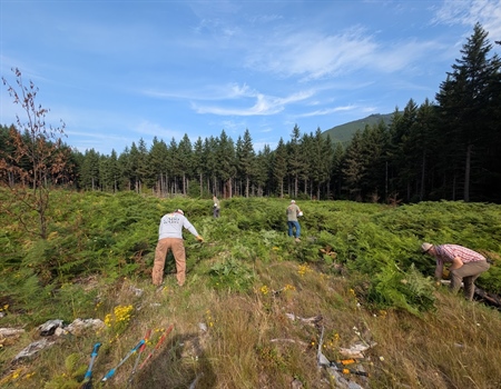 Elk Forge Unit Habitat Enhancement Project — Recap