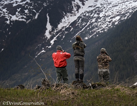 An Off the Road Bear Hunt