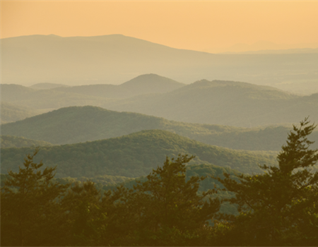 What the Proposed Roadless Rule Rescission Means for BHA's Mid-Atlantic Chapter