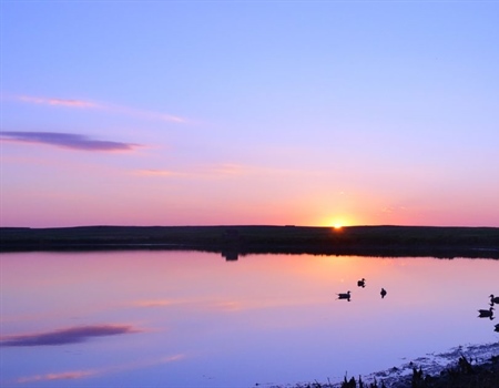 Amendment 83: Colorado’s Right to Hunt and Fish