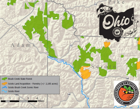A Massive Win for Ohio Backcountry: 10,407 Acres of New Public Land Secured!