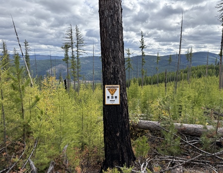 Flathead National Forest Trail Improvement Event Recap