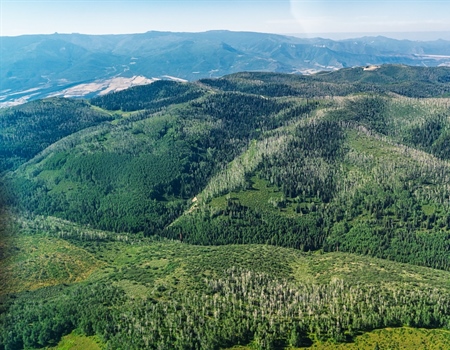 Colorado BHA on the proposed GAME Act