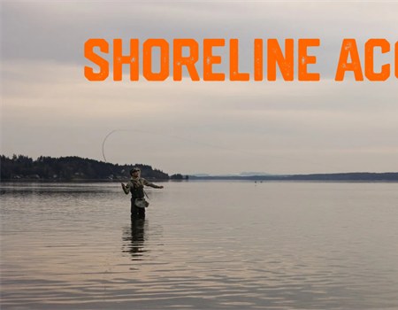 Shoreline Access and Management