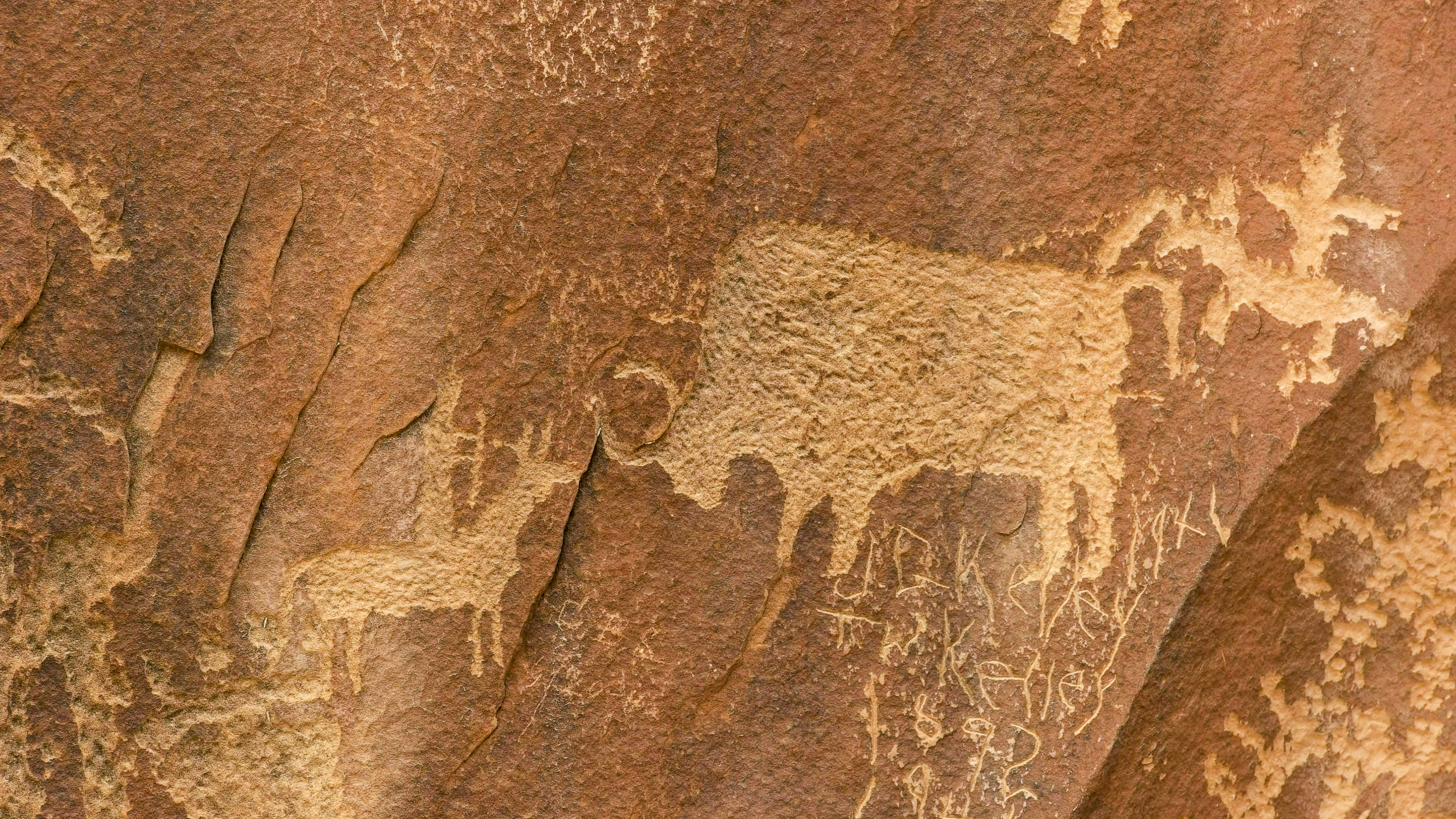 Above: Bison hunting scene depicted on Newspaper Rock, near Canyonlands National Park, Utah. Photo: istock.com/ crbellette