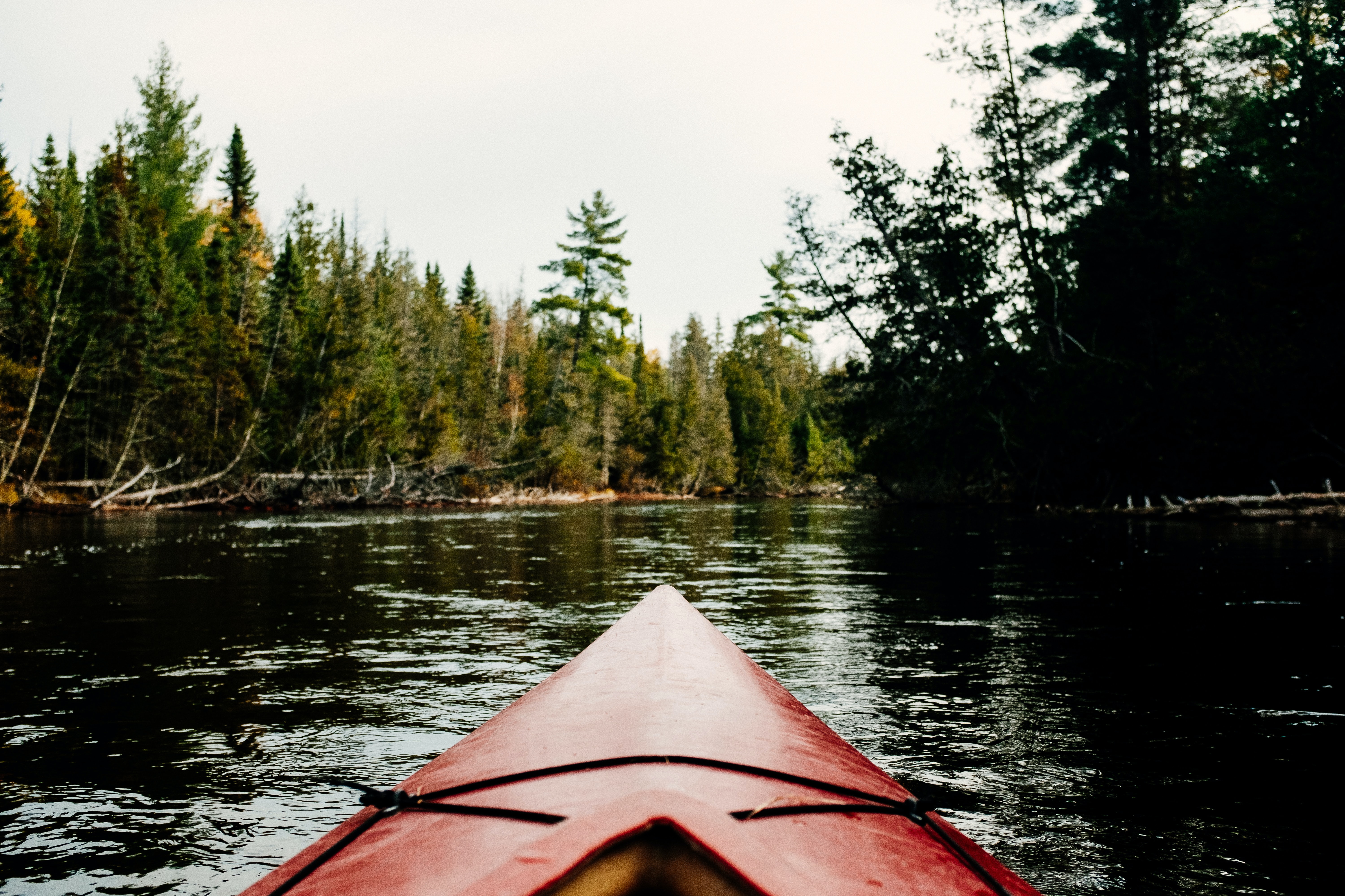 Michigan Rivers at a Crossroads