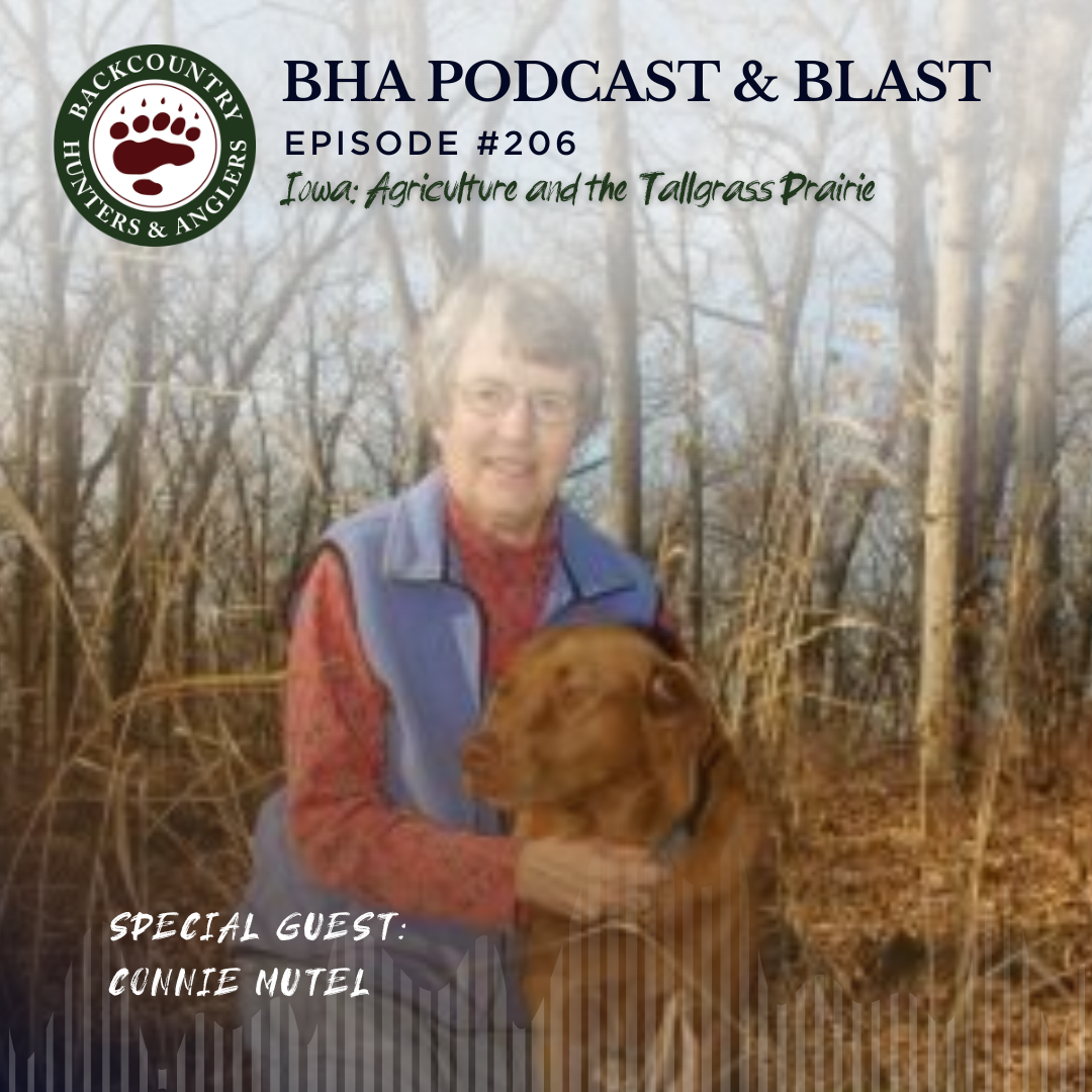 Connie Mutel episode 206