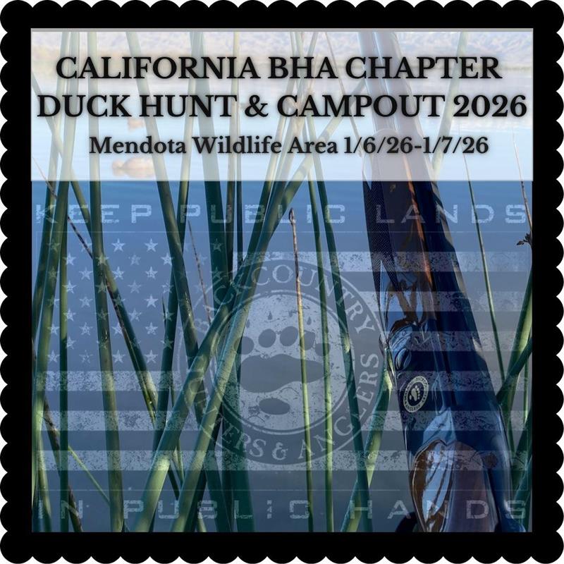 /Portals/0/NADevEventsImages/CAMendotaduckcamp2026_600.jpg