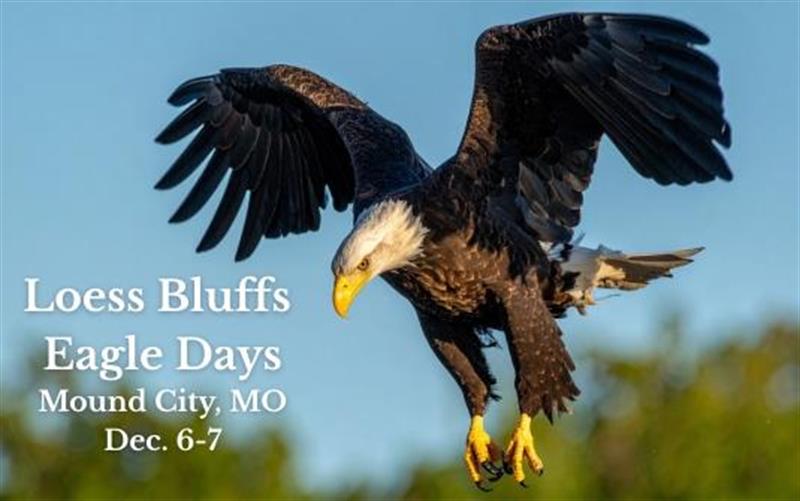 /Portals/0/NADevEventsImages/MOLoessBluffsEagleDays_600.jpg