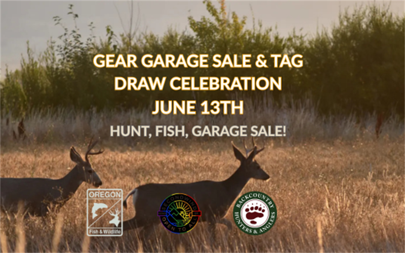 /Portals/0/NADevEventsImages/ORGeartag_600.png