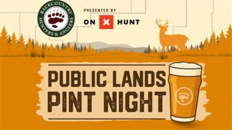 /Portals/0/NADevEventsImages/PintNightWebsite_600.jpg