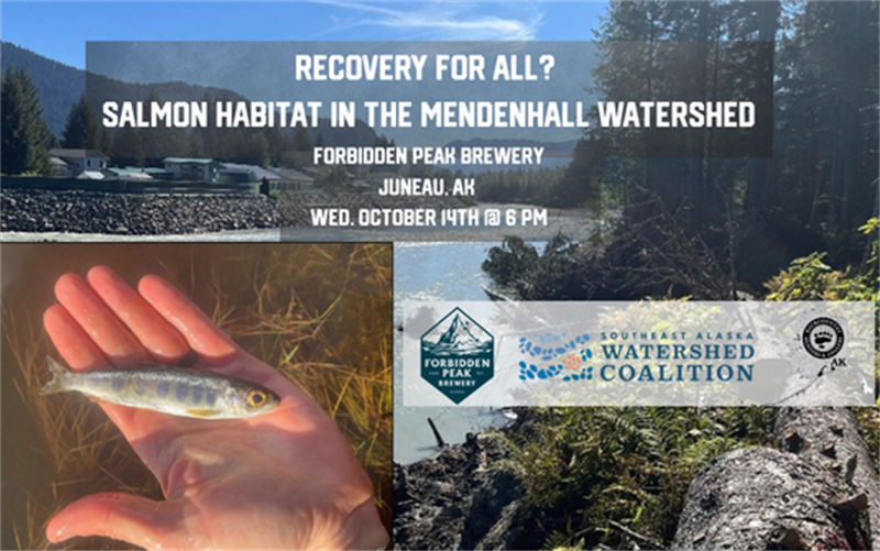 /Portals/0/NADevEventsImages/SalmonhabitatMendenhallwatershed535x335_600.png