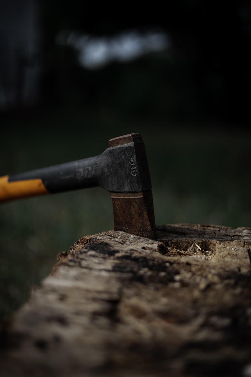 /Portals/0/NADevEventsImages/hatchet_600.jpg