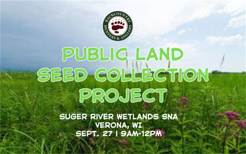 /Portals/0/NADevEventsImages/sugarriverwetlandseedcollectpic_600.png