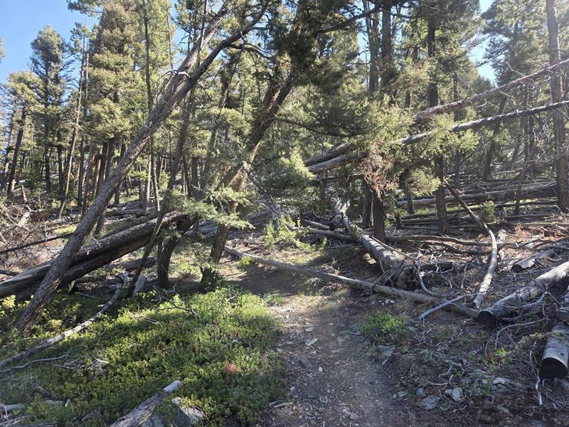 /Portals/0/NADevEventsImages/trailopen_600.jpg